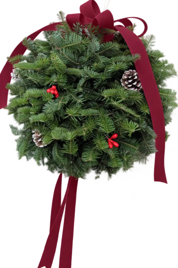 burgundy kissing ball.webp