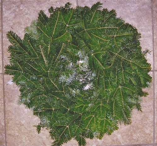 Undecorated Wreath (12")